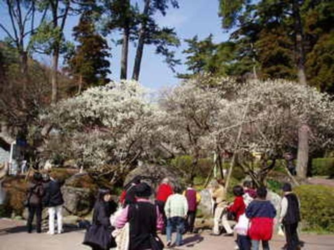 Minoya Hotel Atami  Buitenkant foto