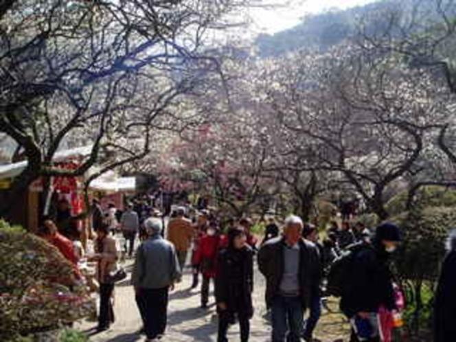 Minoya Hotel Atami  Buitenkant foto